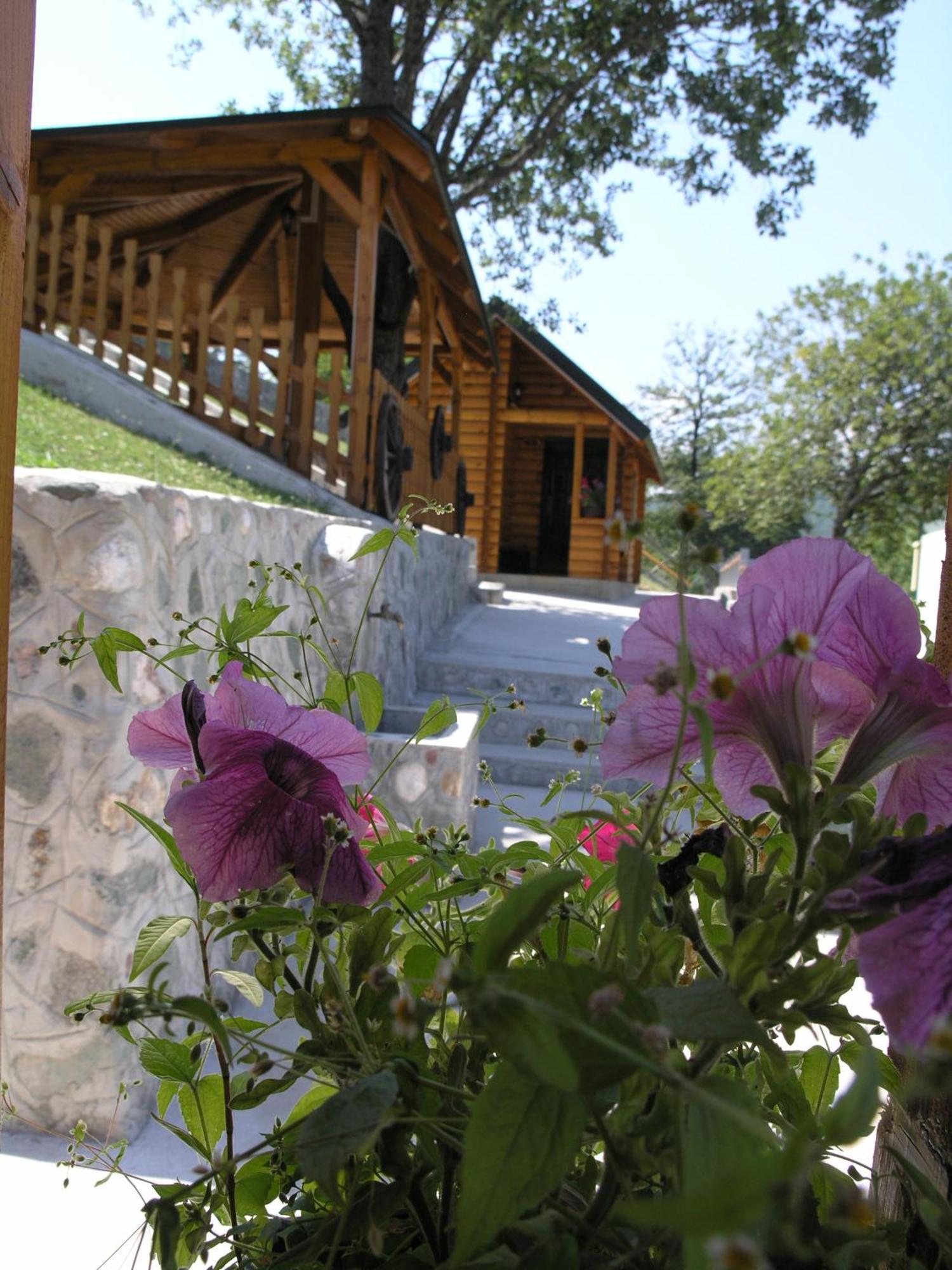 Motel Krstac Мойковац Номер фото